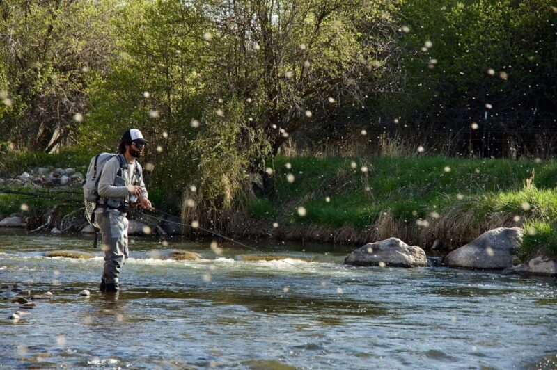Fly Fish Utah Blue Ribbon Trout Waters - An In-Depth Look at the Experience