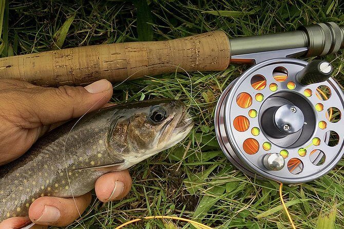 Fly Fishing Guided Experiences - Pricing and Value