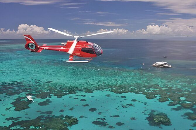 Fly in and Fly out Great Barrier Reef Cairns Day Tour - An In-Depth Look at the Tour Experience