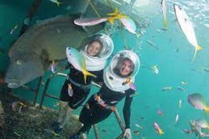 Fly in and Fly out Great Barrier Reef Cairns Day Tour - FAQs