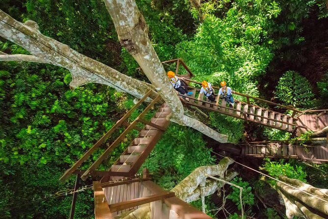 Flying Hanuman Ziplines 42 platform & Transfer RoundTrips - The Sum Up