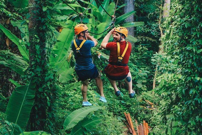 Flying Hanuman Ziplines 42 platform With Lunch - Is Flying Hanuman Right for You?