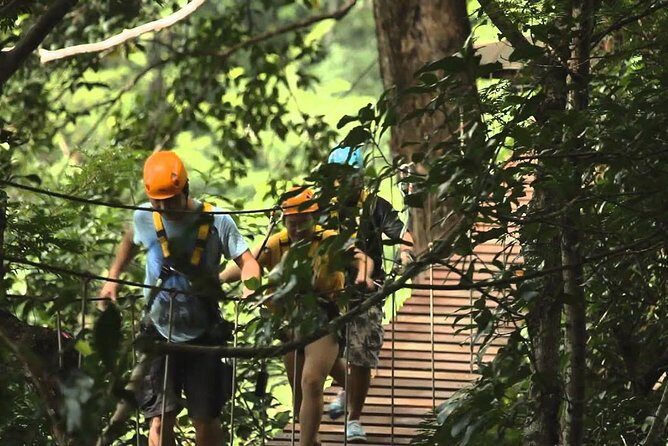 Flying Hanuman Ziplines 42 platform With Lunch - Final Thoughts