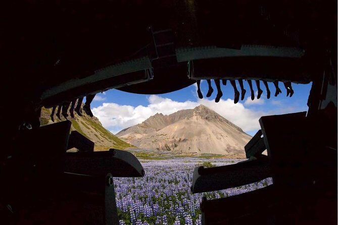 FlyOver Iceland Admission Ticket - The Review from Visitors: What People Are Saying