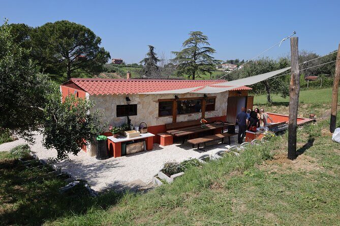Focaccia and Pesto Cooking Class in the Roman Countryside - The Sum Up: Who Should Book This Experience?