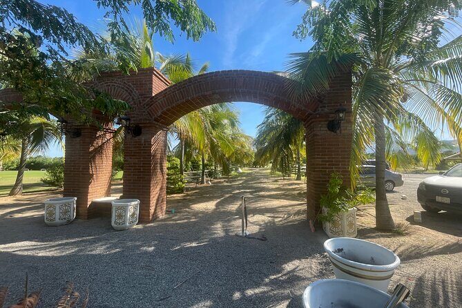 Foco Tonal Sound Vortex Meditation Experience in Los Cabos - Exploring the Experience in Depth