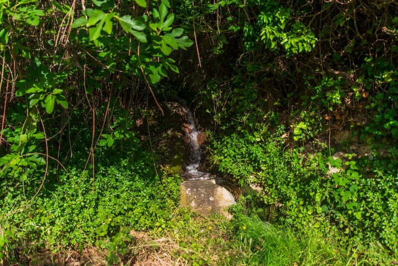 Follow the riverside hiking tour (Small group experience) - Exploring the Follow the Riverside Hiking Tour in Greece