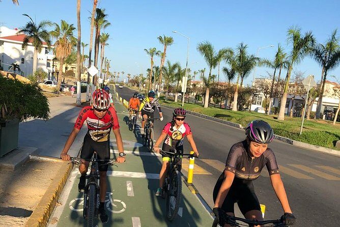 Following the bike lane, discover the main attractions of San José del Cabo - FAQ
