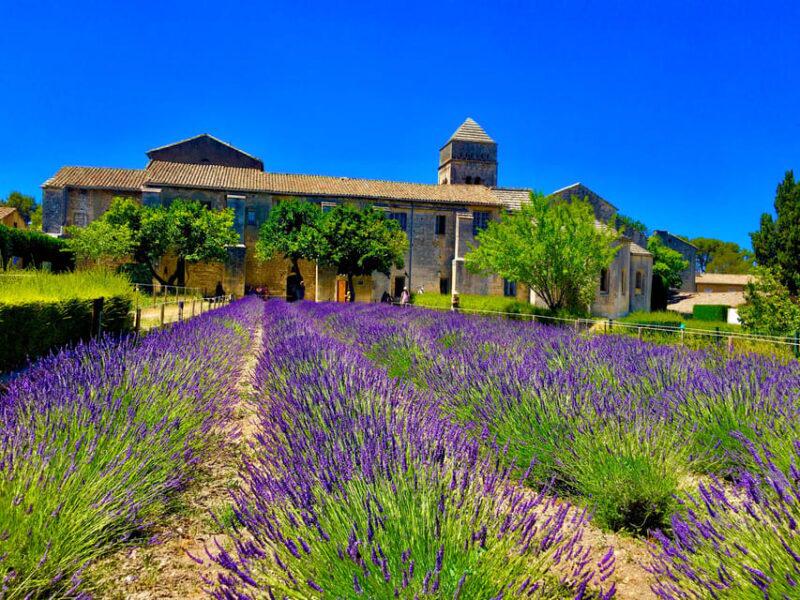 Following the steps of Van Gogh - FAQ