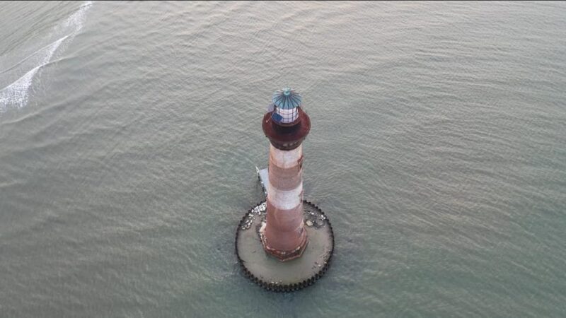 Folly Beach: Morning Dolphin Boat Trip to Morris Island - Who Is This Tour Best For?