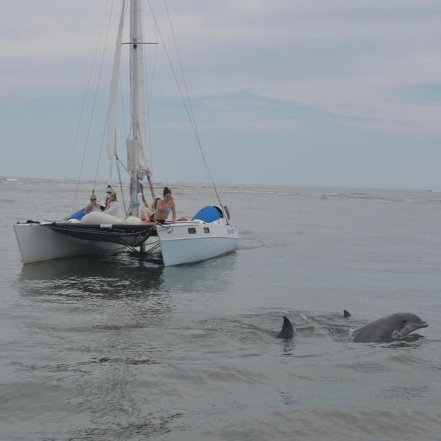 Folly Beach: Private Daytime or Sunset Sail, cooler provided - Who Is This Tour Best Suited For?