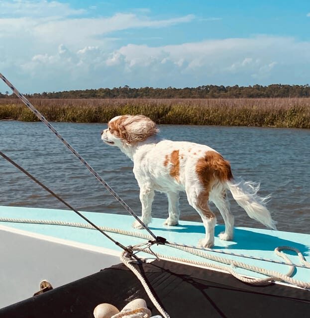 Folly Beach: Private Daytime or Sunset Sail, cooler provided - Final Thoughts