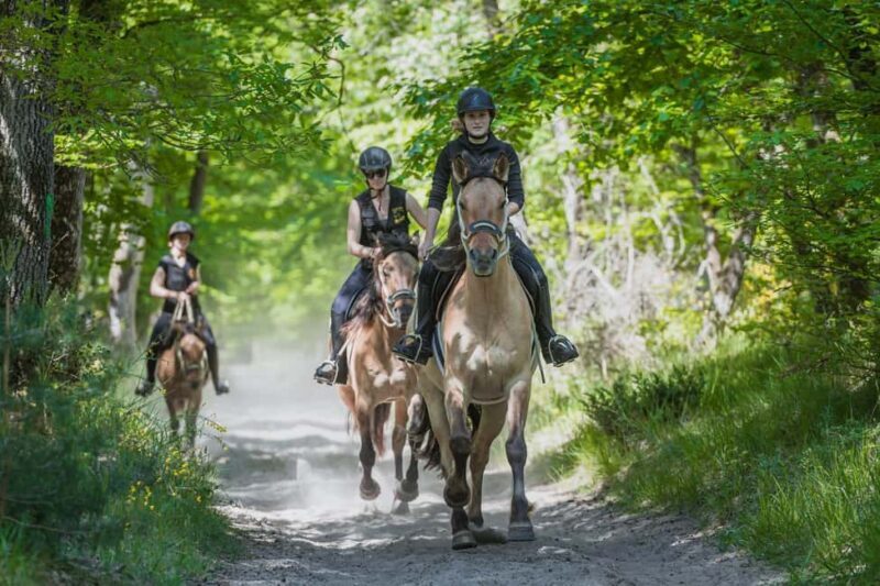 Fontainebleau : Horse-riding, Gastronomy & Château - Practical Tips