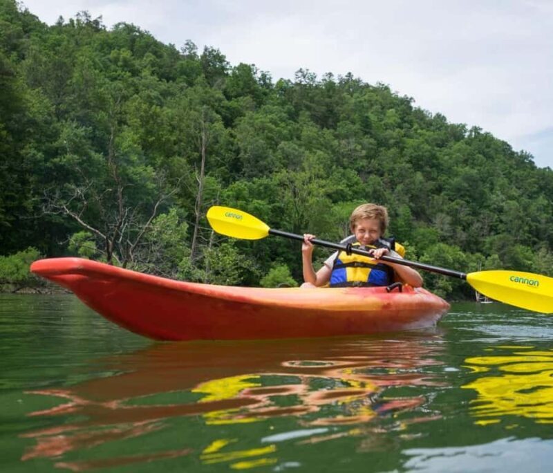 Fontana Lake: Kayak or SUP Rental - The Sum Up