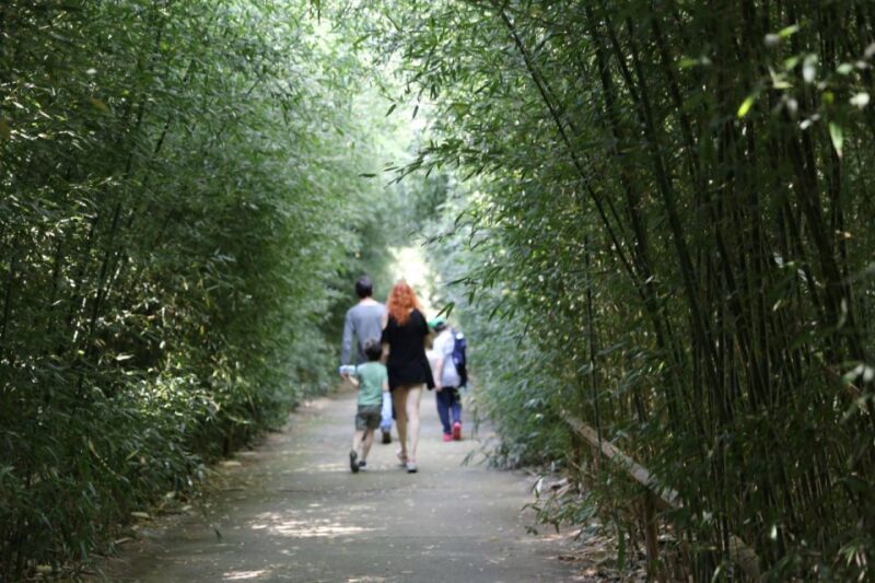 Fontanellato: Labirinto della Masone Full-Day Entry Ticket - Exploring the Maze and the Grounds