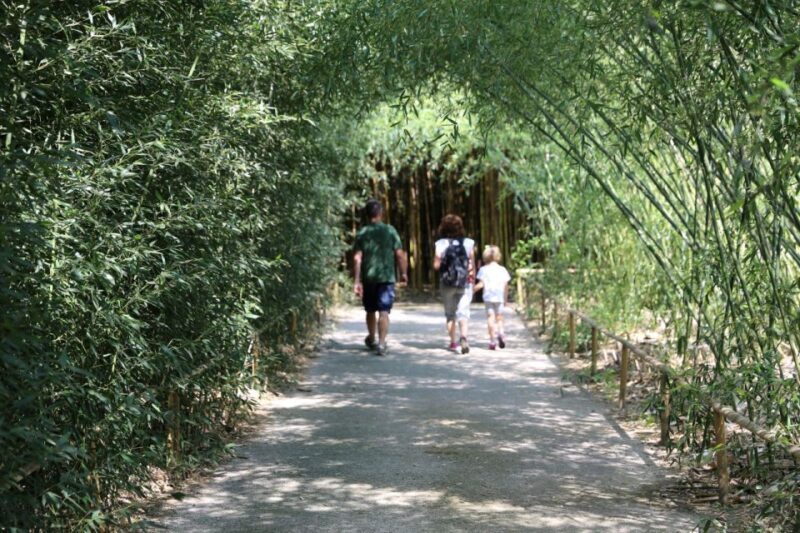 Fontanellato: Labirinto della Masone Full-Day Entry Ticket - Who Should Consider This Tour?