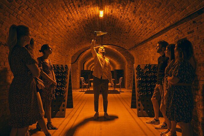 Food and Champagne Experience from Reims (Private full day tour) - Setting the Scene: What the Tour Involves