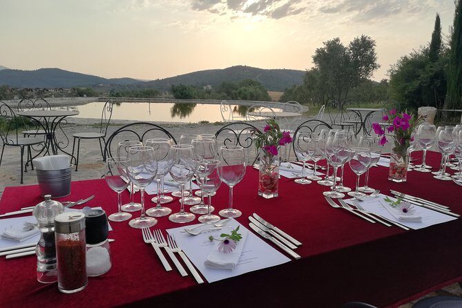 Food and Wine pairing Dinner at Karnas Vineyards Bodrum - A Deep Dive into the Experience