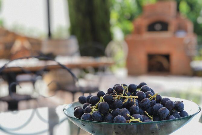 Food and Wine pairing Dinner at Karnas Vineyards Bodrum - Who Would Love This Experience?