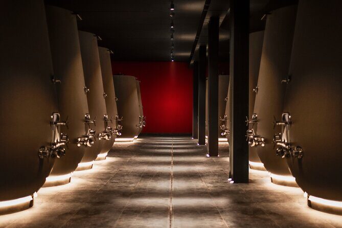 Food and Wine Tasting in Valpolicella - What Makes This Tour Special?