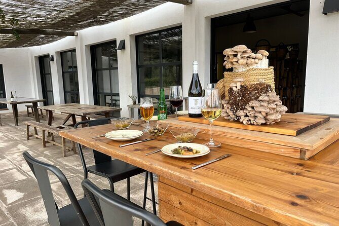 Food experience in mushroom cultivation (tour not included) - Key Points
