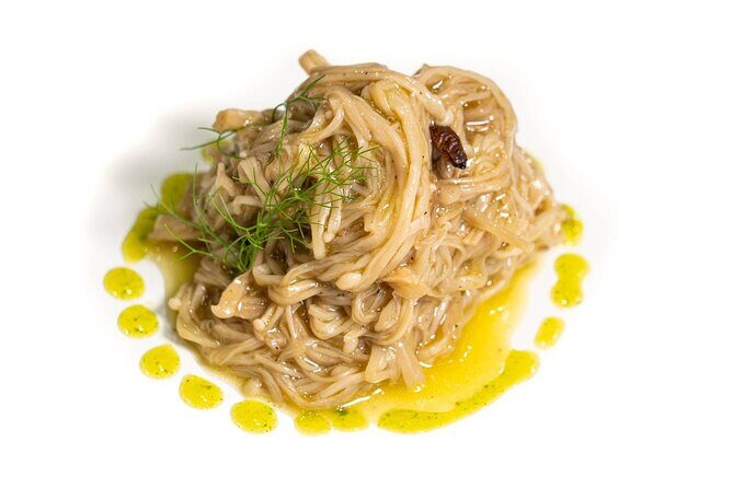 Food experience in mushroom cultivation (tour not included) - Limitations to Keep in Mind