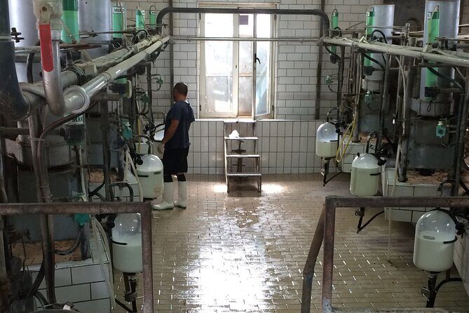 Food gastronomic tour - Transport, Timing, and Group Size