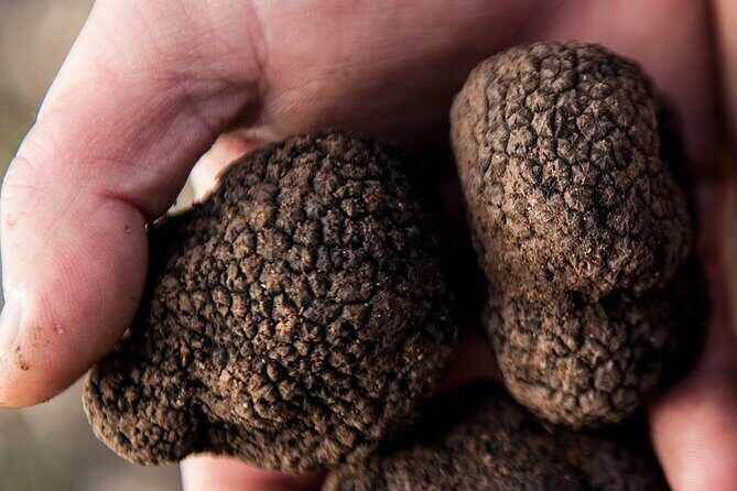 Food Tour Bologna - Final Thoughts