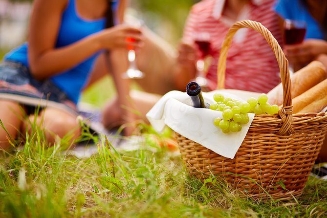 Food Tour Excursion in Provence ! - An In-Depth Look at the Provençal Food Tour