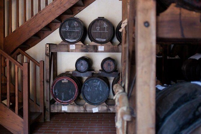 Food Tour: Parmigiano, Balsamic, Red Wine, lunch,transport - Key Points