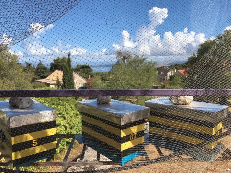 Food Tour: Traditional Flavours and Food Sampling on Hvar - Key Points