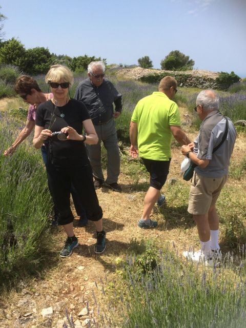 Food Tour: Traditional Flavours and Food Sampling on Hvar - Who Will Love This Tour?