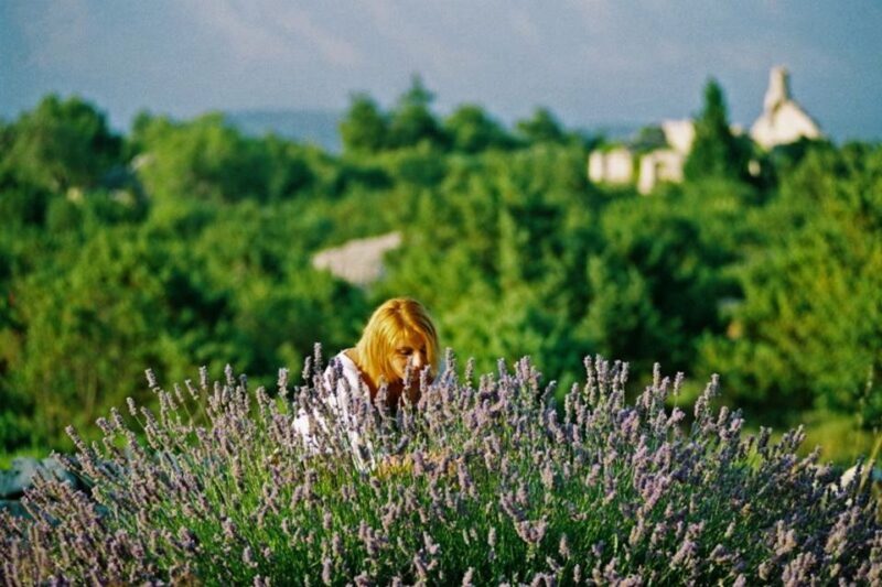 Food Tour: Traditional Flavours and Food Sampling on Hvar - Final Thoughts