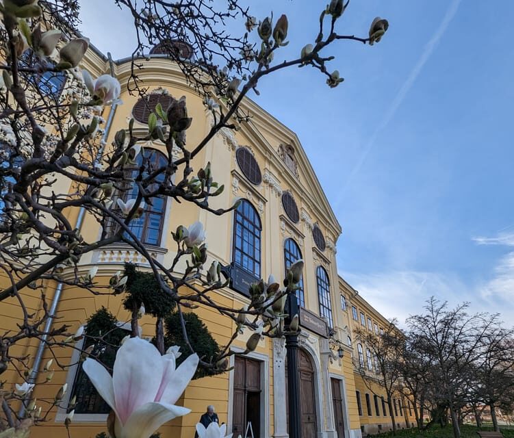 Food, Wine And Sightseeing Tour in Oradea, Romania - Key Points