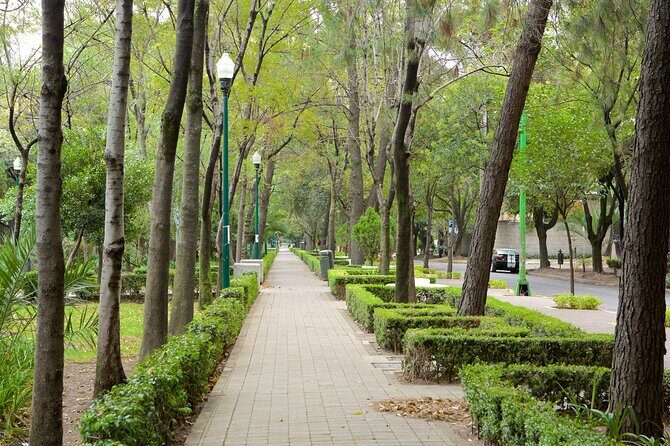 Foodie Tour in Polanco: Mexico Culinary roots! - Introduction: Exploring Mexico’s Flavors in Polanco