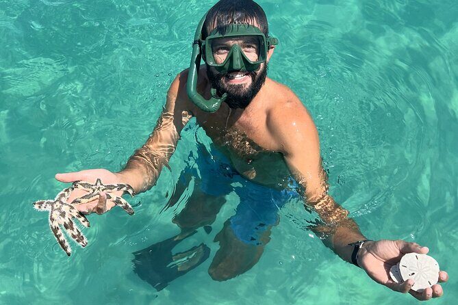 Footloose Catamaran Snorkel and Dolphin Watch Tour - Who Will Love This Tour?