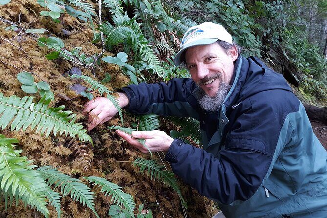 Foraging Tour of Edible Plants and Mushrooms in Brinnon - Exploring the Forests of Brinnon: A Foraging Tour of Edible Plants and Mushrooms