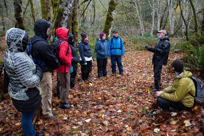 Foraging Tour of Edible Plants and Mushrooms in Brinnon - Key Points