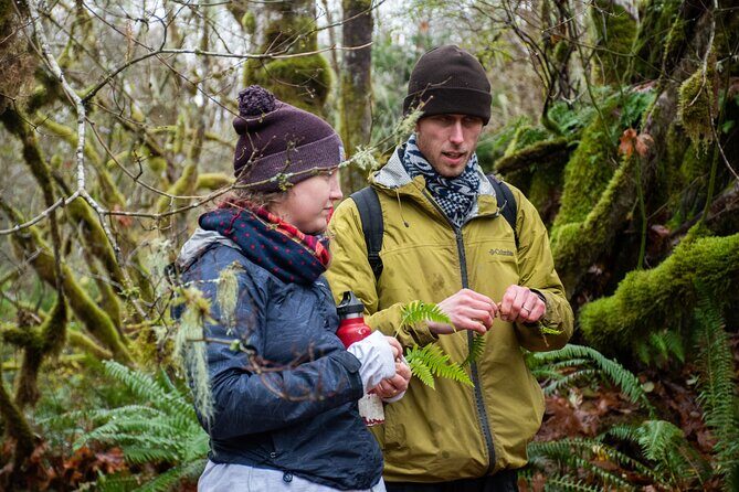 Foraging Tour of Edible Plants and Mushrooms in Brinnon - Practical Details: Making the Most of Your Tour
