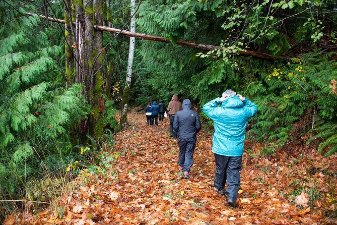 Foraging Tour of Edible Plants and Mushrooms in Brinnon - Final Thoughts: Is It Worth It?