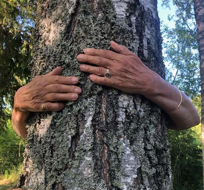 Forest Bathing in Stockholm nature with certified guide - An In-Depth Look at the Forest Bathing Experience in Stockholm