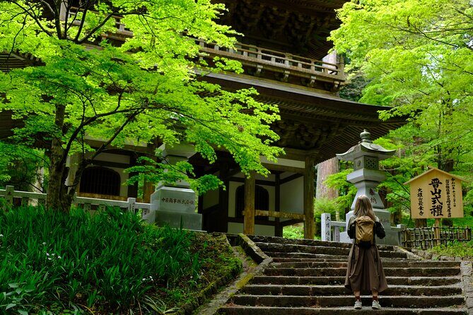 Forest Bathing in Temple and Enjoy onsen with healing power - Key Points