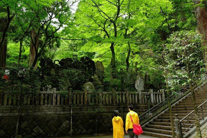 Forest Bathing in Temple and Enjoy onsen with healing power - In-Depth Review of the Forest Bathing and Onsen Tour