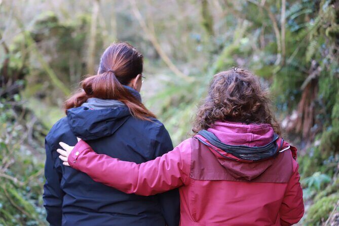 Forest Bathing in Tuscany with Wild Crafted Tea - Introduction: Why Forest Bathing in Tuscany Offers More Than Just a Walk