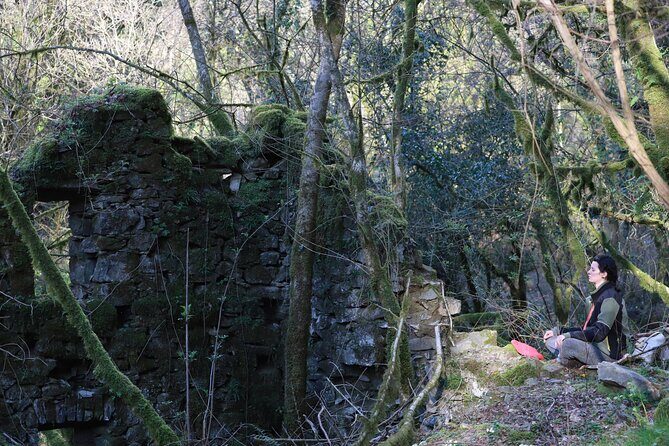 Forest Bathing in Tuscany with Wild Crafted Tea - Is It Worth the Price?