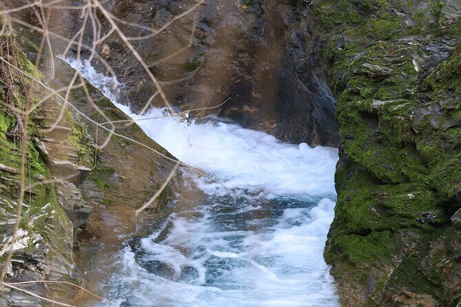 Forest Bathing in Tuscany with Wild Crafted Tea - Who Should Consider This Tour?