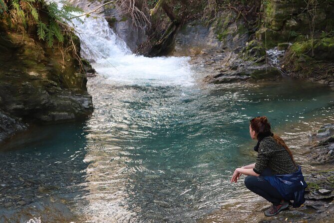 Forest Bathing in Tuscany with Wild Crafted Tea - FAQ