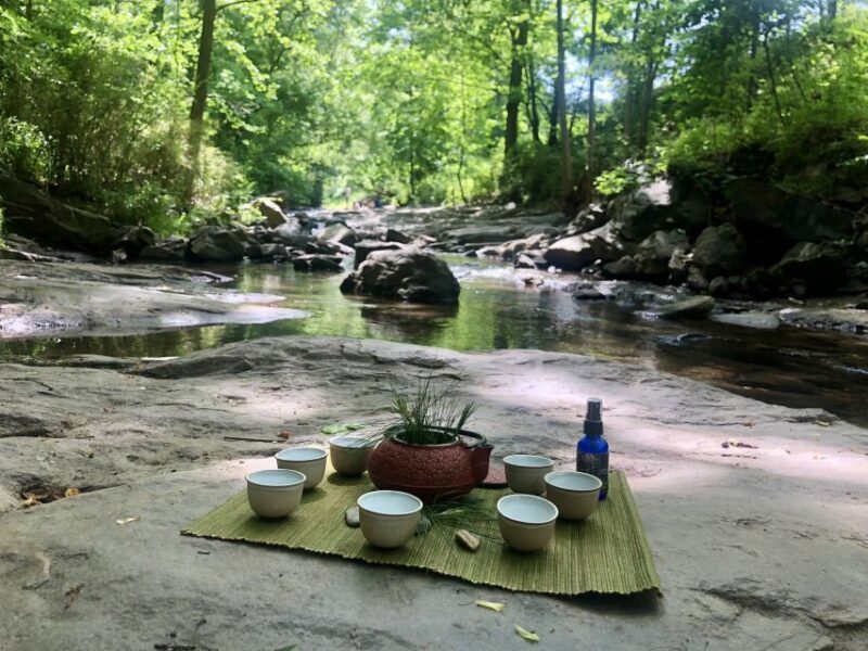 Forest Bathing & Nature Therapy Mini-Retreat - Breaking Down the Itinerary