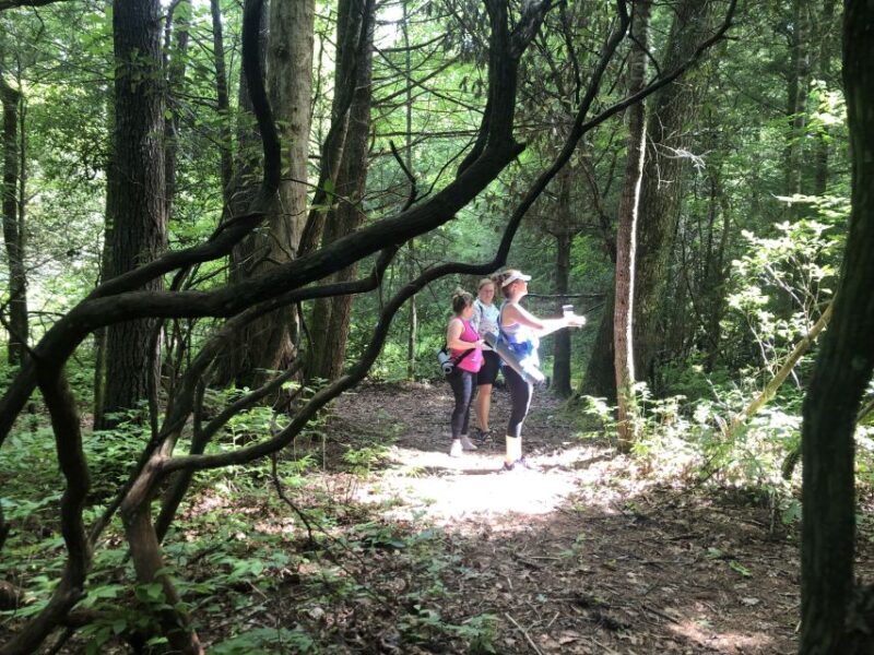 Forest Bathing & Nature Therapy Mini-Retreat - Practical Details and Tips
