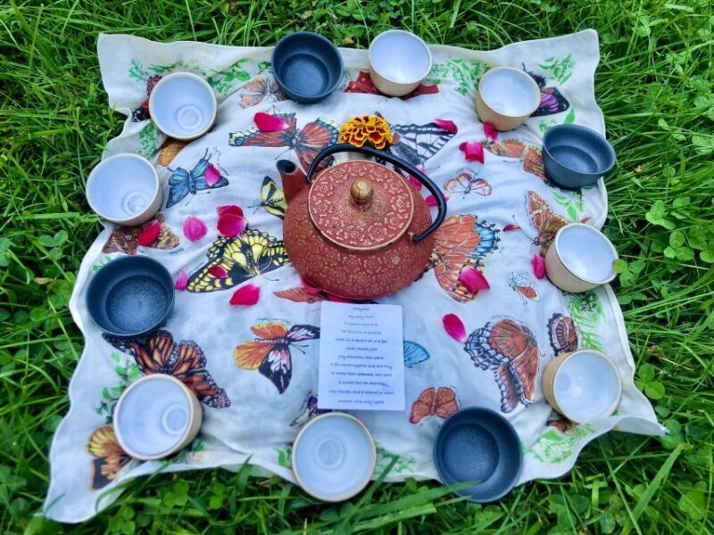 Forest Bathing & Nature Therapy Mini-Retreat - Who Will Love This Experience?